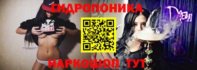 2c-b Вышний Волочёк